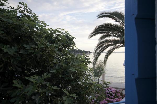 Ferienwohnungen Petrčane - Appartements Batela | Direkt-Kroatien.de