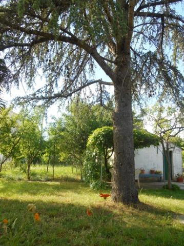 Ferienwohnungen Sukosan Ferienwohnung Cedar Direkt Kroatien De