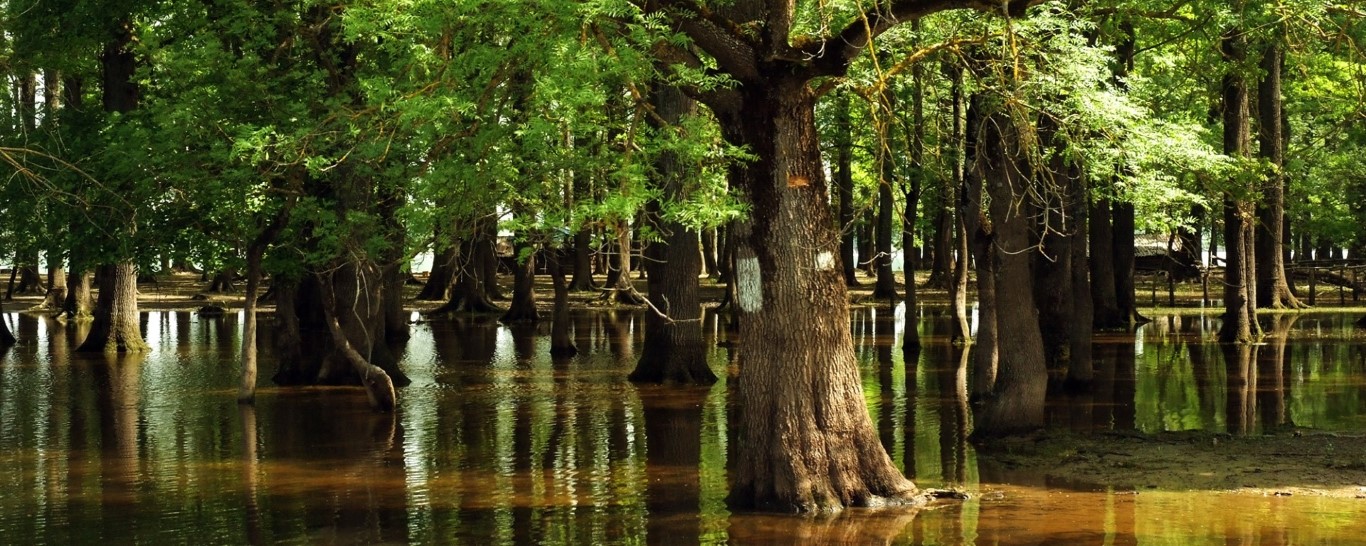 Naturpark Lonjsko Polje Unterkunft und Appartements in der Nähe